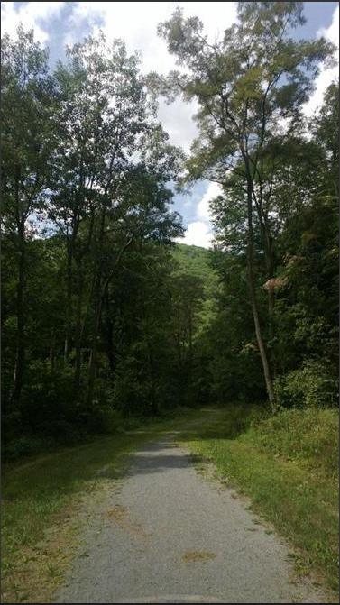 Bells Gap Trail